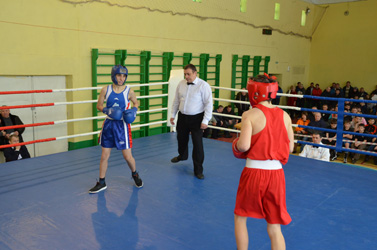 При поддержке депутатов открылось первенство по боксу на призы клуба «Русич»