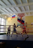 При поддержке депутатов открылось первенство по боксу на призы клуба «Русич»