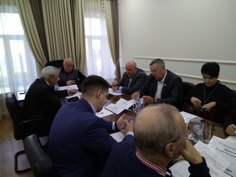 Депутаты обсудили материально-техническое состояние  театров "Самокат" и "Версия"