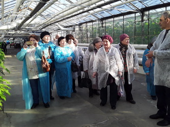 Представители старшего поколения Ленинского района посетили тепличное хозяйство