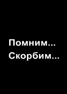 Депутаты Саратовской городской Думы выразили соболезнования родным и близким пассажиров и членов экипажа самолета АН-148 «Саратовских авиалиний»