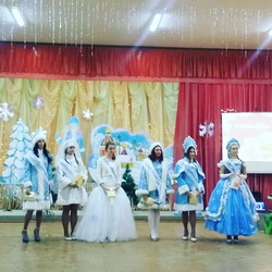 В Заводском районе прошел традиционный конкурс "Я - Снегурочка 2018"