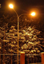 В  Завокзальном поселке  уже в этом году появится свет на улицах
