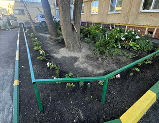 Вячеслав Тарасов передал цветочную рассаду для озеленения дворовой территории многоквартирного дома